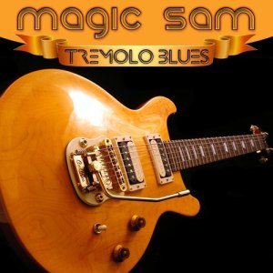 收聽Magic Sam的43rd and South Park Blues歌詞歌曲