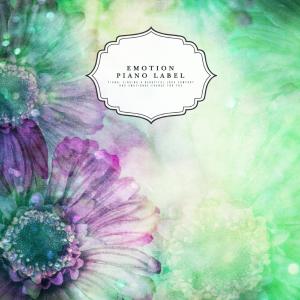 Album Piano tunes resembling precious lovers (New Age piano) from Various Artists