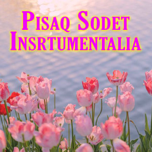 Album Pisaq Sodet Insrtumentalia from Er Panji