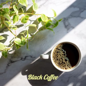 Dengarkan Black Coffee lagu dari Bobby Darin dengan lirik