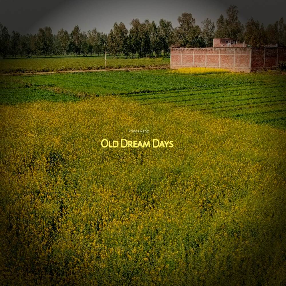 Dreaming in Night with Open Eyes