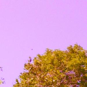 收聽The Coalition的UNTOLD (feat. Nila Moon, Timi-TGB, Starseed, Abdul & onomé) (Explicit)歌詞歌曲