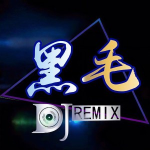 Listen to DJ黑毛-飘渺幻境慢摇嗨曲Remix song with lyrics from DJ黑毛