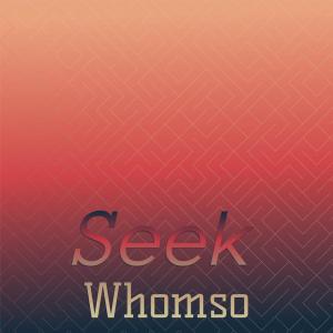 Various的专辑Seek Whomso