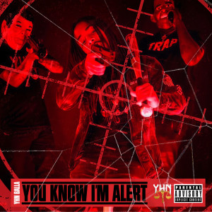 Listen to You Know I'm Alert (Explicit) song with lyrics from YHN Balla