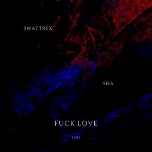 Album Fuck Love LOFI oleh Swattrex