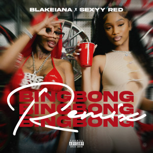 收聽BlakeIANA的BING BONG [feat. Sexyy Red] (Remix|Explicit)歌詞歌曲
