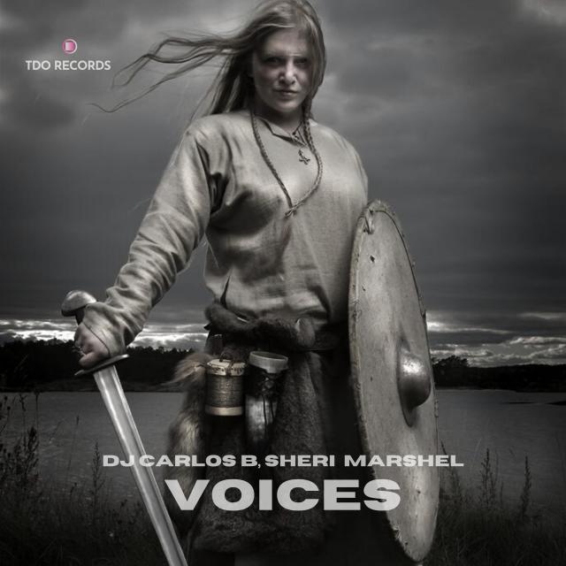 收听DJ Carlos B的Voices (Explicit)歌词歌曲