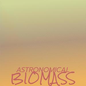 Listen to Astronomical Biomass song with lyrics from Tris Tich
