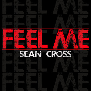 ดาวน์โหลดและฟังเพลง Feel Me พร้อมเนื้อเพลงจาก Sean Cross