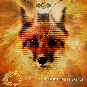Satinka的專輯Everything is Energy
