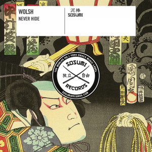 Listen to Never Hide (Original Mix) song with lyrics from Wolsh