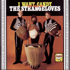 อัลบัม I Want Candy: The Best Of The Strangeloves ศิลปิน Strangeloves