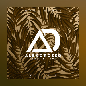 收聽Alex D'rosso的Next 2 U (MDEL Remix)歌詞歌曲