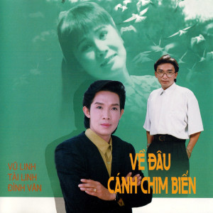 Tài Linh的專輯Về Đâu Cánh Chim Biển