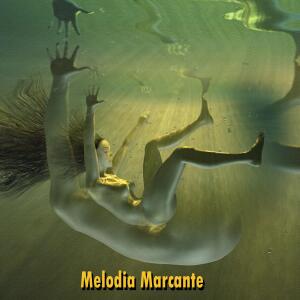 DJ M NEGRO的专辑Melodia marcante