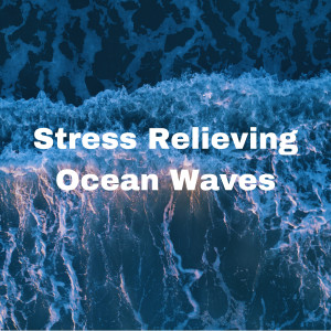 The Ocean Waves Sounds的專輯Stress Relieving Ocean Waves