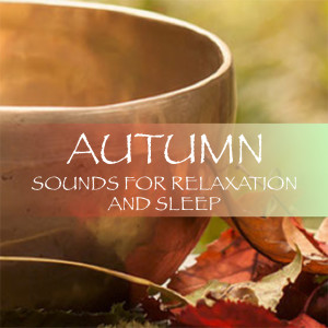 Listen to Leaves In The Wind song with lyrics from Spirit
