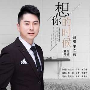 收听王立伟的想你的时候 (伴奏)歌词歌曲