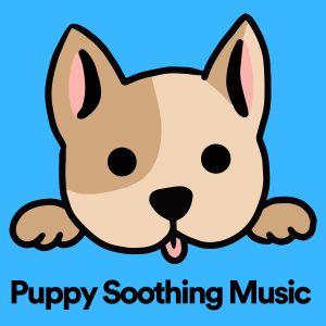 Puppy Soothing Music dari Calming For Dogs