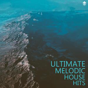 Various Artists的專輯Ultimate Melodic House Hits