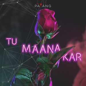 Album Tu Mana Kar from 
