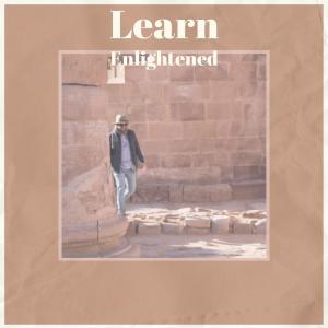 Album Learn Enlightened oleh Various