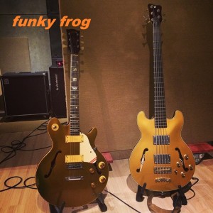 Listen to Funky Frog song with lyrics from Mr. Ooze