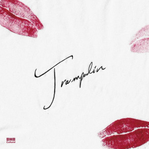 Album Trampolín from Mayra Sánchez