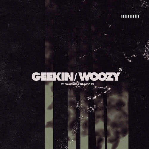 Geekin/Woozy (Explicit)