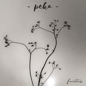 Album Peka from Fantasi