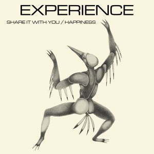 收聽Experience的Happiness歌詞歌曲