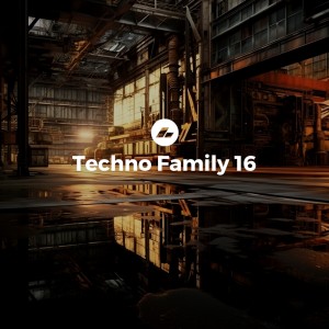 อัลบัม Techno Family 16 ศิลปิน Various Artists