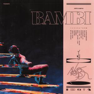 Album Bambi from Hippo Campus