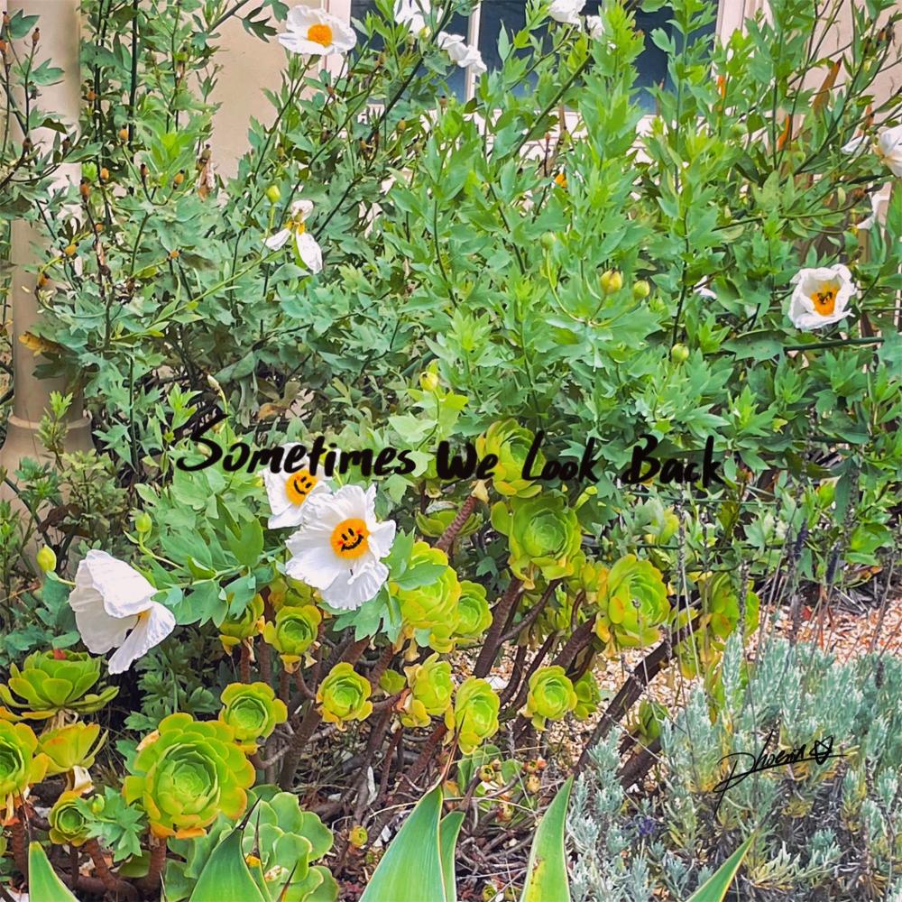 sometimes we look back (feat. Melo Melo & Zhe) (Explicit)