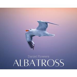 Album Albatross (Arr. for Guitar) oleh Daniel Flowers