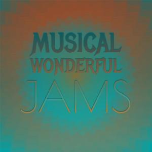 Album Musical Wonderful Jams oleh Various Artists