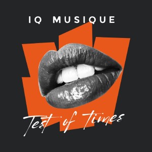 Listen to You Got It Girl (Lesny Deep Remix) song with lyrics from IQ Musique