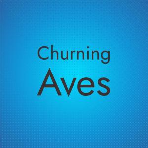 Listen to Churning Aves song with lyrics from Marlenn Marelin