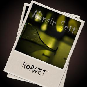 ดาวน์โหลดและฟังเพลง Nånsin Sett พร้อมเนื้อเพลงจาก Hornet