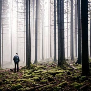 Listen to свитшот (Explicit) song with lyrics from Vill Ray