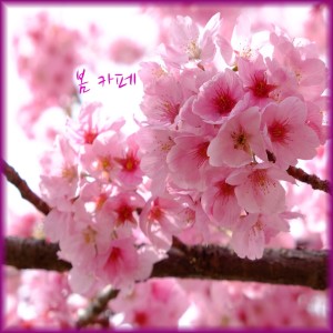 Listen to 봄 카페 song with lyrics from 레온 LEON