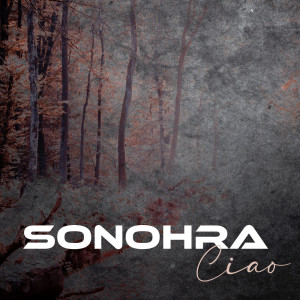 Listen to Ciao (Radio Edit) song with lyrics from 苏诺拉二重唱