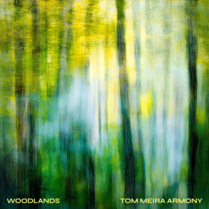 收聽Tom Meira Armony的Woodlands歌詞歌曲
