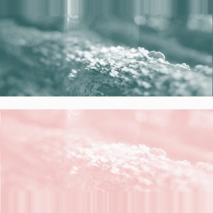 收聽Flynn的noctua歌詞歌曲