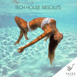 Album Tech House Absoluts from Yan Oxygen