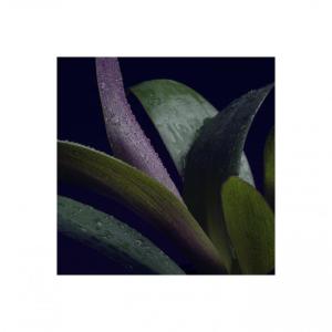 收聽Ambian & Sleo的Sweet Talk歌詞歌曲