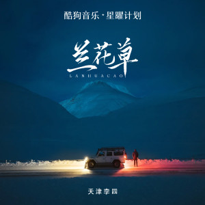 Album 兰花草（DJ版） from 天津李四