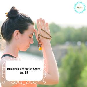 Various的专辑Melodious Meditation Series, Vol. 05