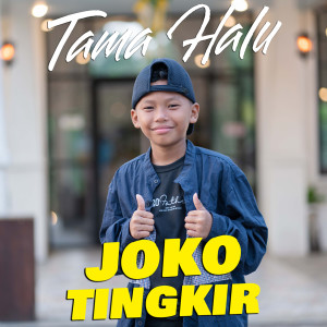 ดาวน์โหลดและฟังเพลง Joko Tingkir พร้อมเนื้อเพลงจาก Tama Halu